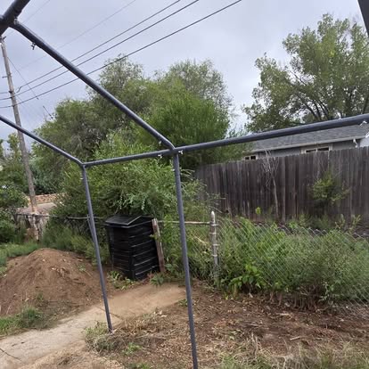 Same backyard after: cleared to the dirt